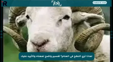 لماذا ترى النطح في المنام؟ تفسير واضح لمعناه وتأثيره عليك